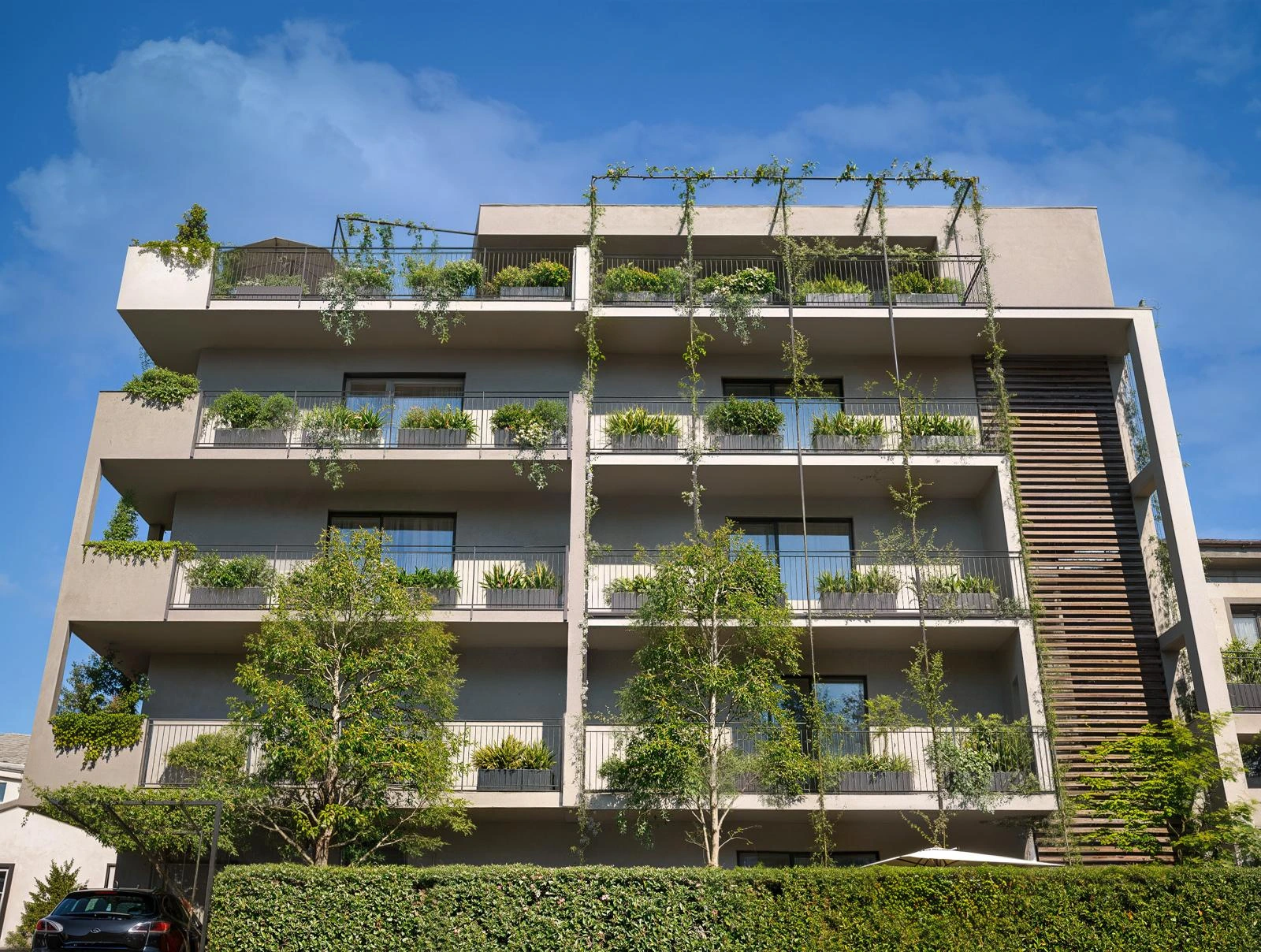 Render di progetto — Buonarroti 4, 1